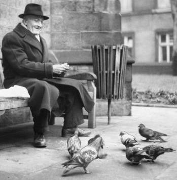 A Walk in the Park - Feeding Pigeons