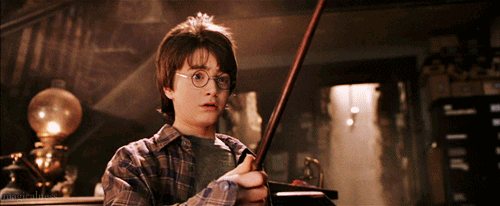 Harry Potter and the Sorcerer's Stone - Wand