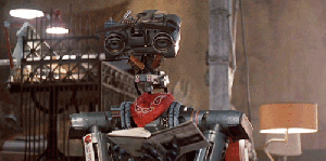 Should I Write a Book - Johnny 5