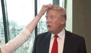 Donald Trump - Hair.gif